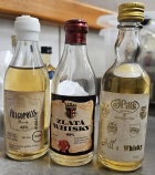 18. v�ro�n� �lensk� sch�ze SSaM
K�cov 2026