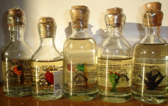 Tequila - národní nápoj Mexika