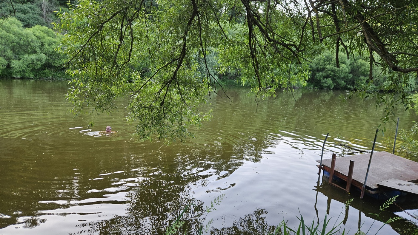 Degustace DDS # 9 - Fucking Patrick
Zbo�en� Kostelec - 14.6.2025
DDS SSaM (Divize degusta�n�ch specialist� Spolku Sb�ratel� alkoholick�ch Miniatur)
Connemara Peated single malt Irish whiskey Distillers edition - Redbreast Single Pot Still Irish Whiskey aged 15 years - Writers Tears Double Oak Irish Whiskey - Jameson Single Pot Still Irish whiskey Five oak cask release - Lambay whiskey Finished in cognac casks Irish whiskey
