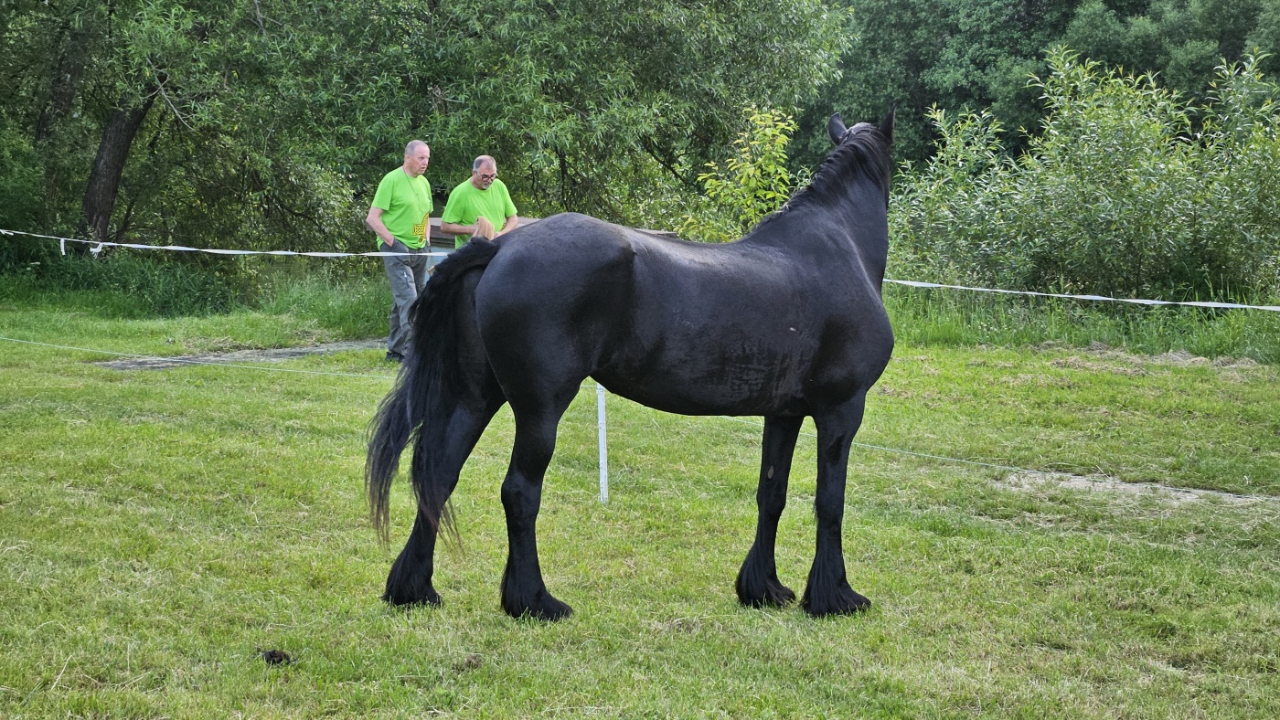 Degustace DDS # 9 - Fucking Patrick
Zbo�en� Kostelec - 14.6.2025
DDS SSaM (Divize degusta�n�ch specialist� Spolku Sb�ratel� alkoholick�ch Miniatur)
Connemara Peated single malt Irish whiskey Distillers edition - Redbreast Single Pot Still Irish Whiskey aged 15 years - Writers Tears Double Oak Irish Whiskey - Jameson Single Pot Still Irish whiskey Five oak cask release - Lambay whiskey Finished in cognac casks Irish whiskey